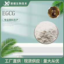 EGCG ��]ʳ�Ӄ����؛]ʳ������ 100g/�� �G�˲�����Ҫ�ɷ�