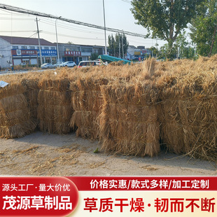 Thickened Greenhouse Roof Straw for Greening and Sand Control, Bulk Shipment of High-Quality Seasonal Fresh Straw, 5 Tons of Straw