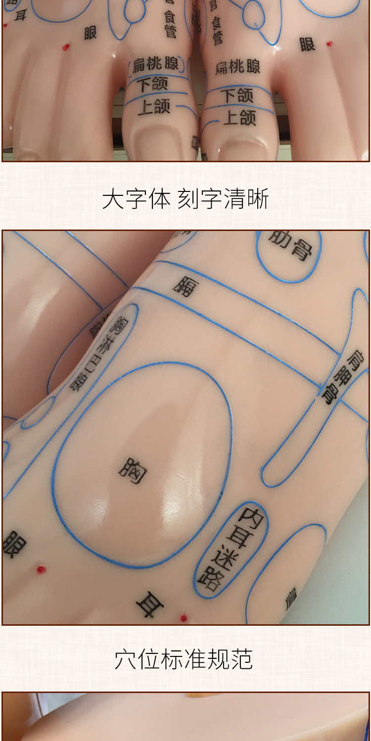 Foot Acupoint Reflexology Model with Clear Markings, Foot Reflex Zone Massager, Acupoint Stick, PVC Foot Model for Home Wellness Routine detail image