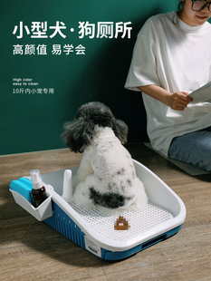 С��Ȯ��������������ɰ��С��������㹷�����ʺ�茙����ʺ����
