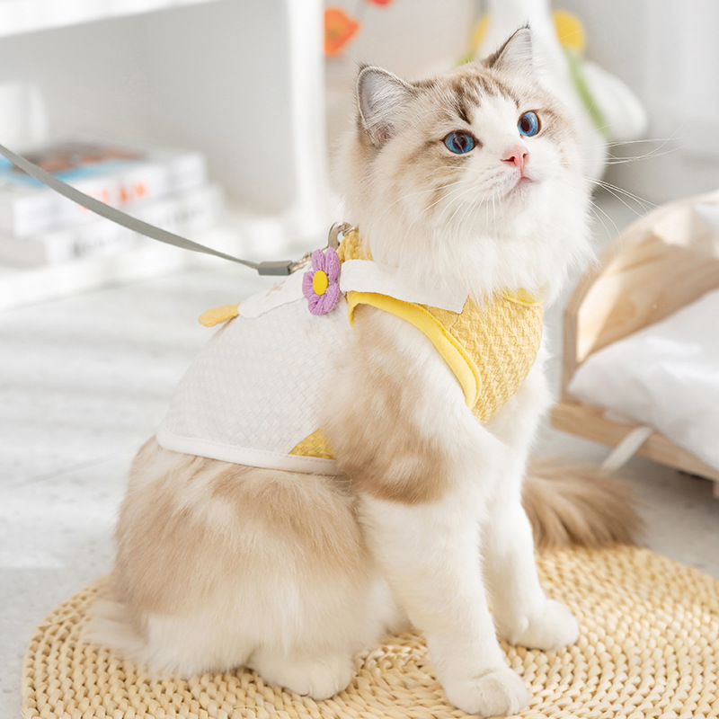 Gato primavera y verano estilo fino transpirable divertido gran bolsillo de ganso blanco chaleco de tracción perro de dos patas mascota ropa de peluche