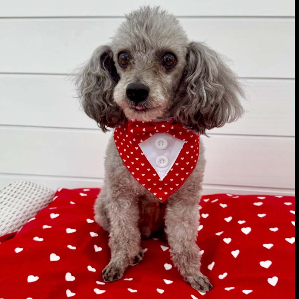 TANPOPO transfronterizo nuevo amor adorable mascota fiesta decoración traje mascota toalla de saliva bufandas triangulares