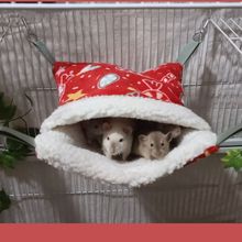 ��ů���������}���޸C��֦���۴������������޸C˯���Ӻ�һ�ֿ�