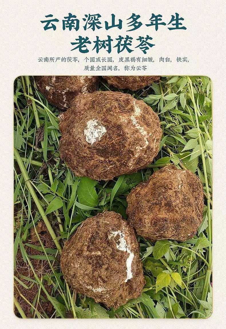 Poria Fu Ling Cubes 50g Dried Poria cocos Herbal Chunks for Tea and Decoction overview