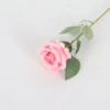 Silk Fan Xinxin