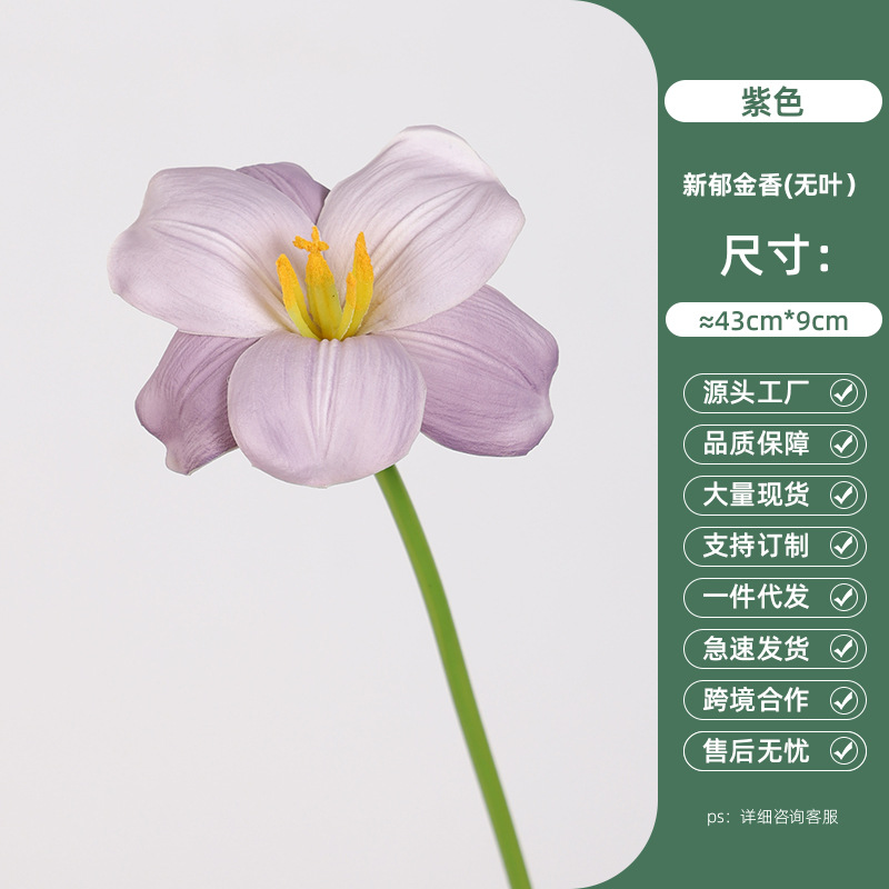 Purple new tulips (leafless)