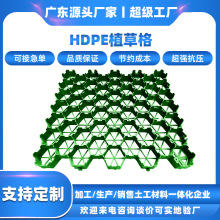 高密度聚乙烯植草格停车场停车位消防车到护坡抗压塑料植草格绿化