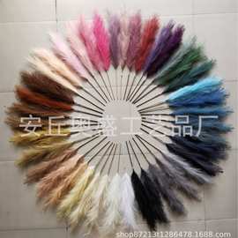 跨境人造蒲苇 仿真潘帕斯草亚马逊家居孔雀草仿真芦苇现货批发