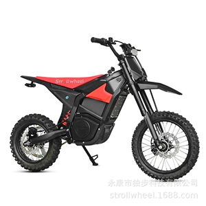 48V Q2 Gənclər üçün Elektrikli Off-road Motosiklet 2000W