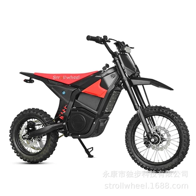 riding, Elektrikli motosikletlər