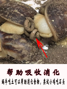 ΁ţ�}���������΁ţ��Ȼ��B�}��Ҭ�����Bֳ���}ɳ��ϠI�B��ɳ