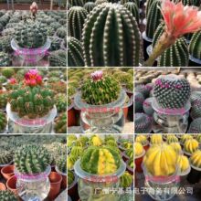 ����ֱ����ˮ���_�����������ԾӼһ��ܾGֲ����ֲ�����B���\ݔ