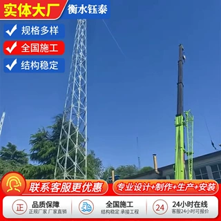 加工定制避雷塔钢结构热镀锌圆钢避雷线塔独立避雷针塔接闪杆塔