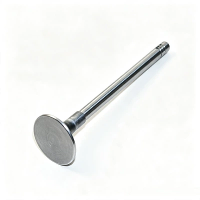 Valve components Chery TIGGO
