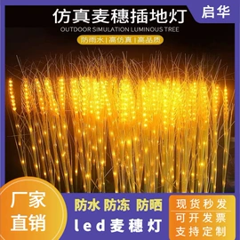 室外LED;LED装饰灯;景观灯