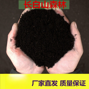 �����Nֲ����ֳ����̿���I�B�ЙC����������̿���N���������ϻ���