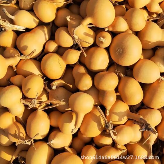 Gourd origin straight hair natural hand twist small gourd in stock wholesale stall small gourd handle play gourd wholesale