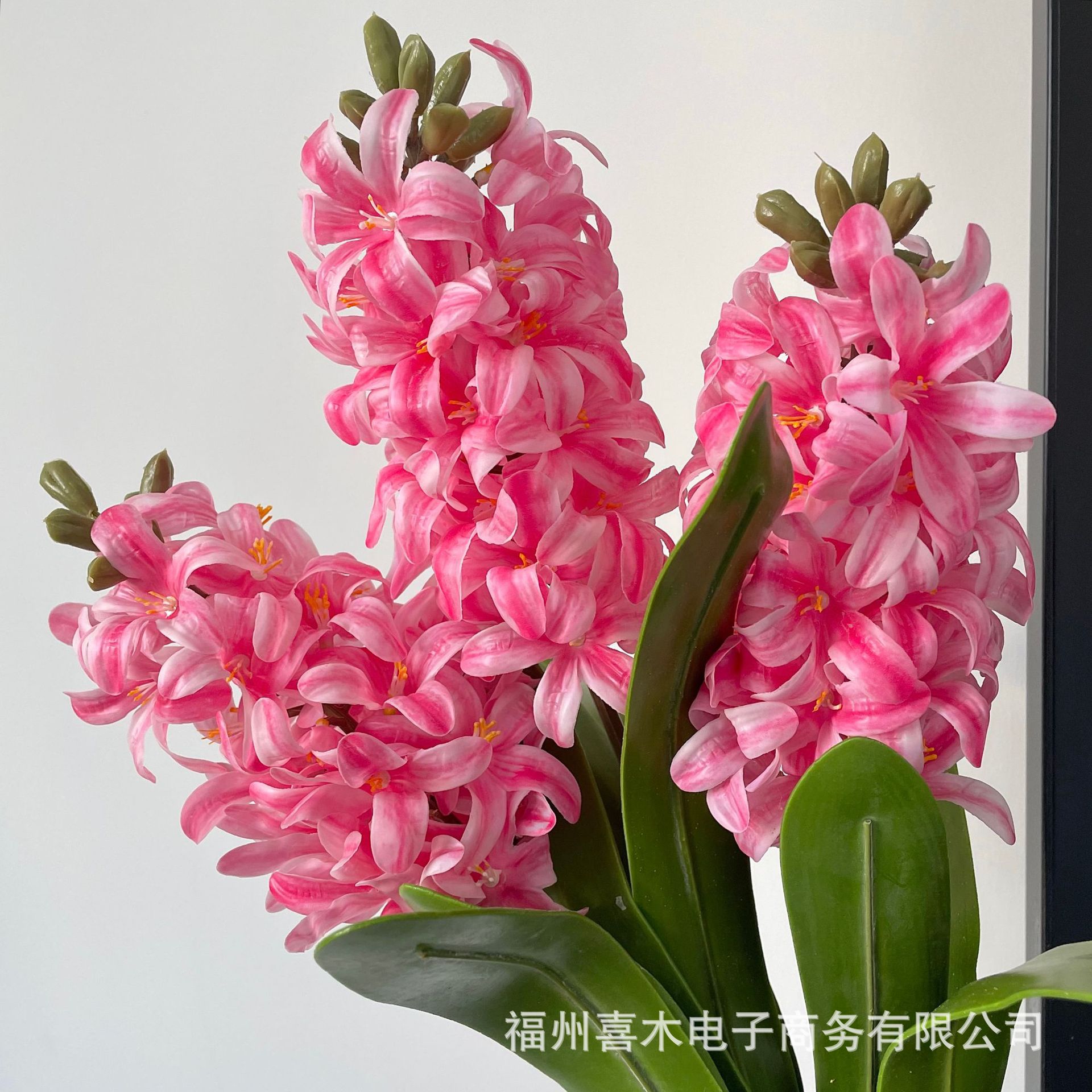 photo-output_1.jpg
