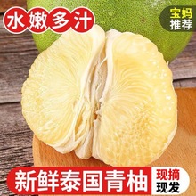 泰国青柚安帕瓦白心柚子清香水嫩脆甜当季新鲜水果非红心工厂批发