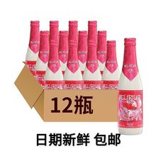 12瓶比利时进口粉象给劲儿樱桃粉啤酒龙年限定款/常规款