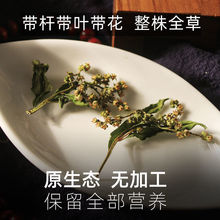 ĴAȫsSsSݻ]βƷl؛؛