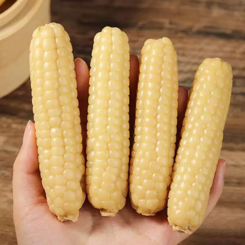 云南西双版纳拇指小玉米迷你白糯玉米手指香糯拇指小玉米一件代发