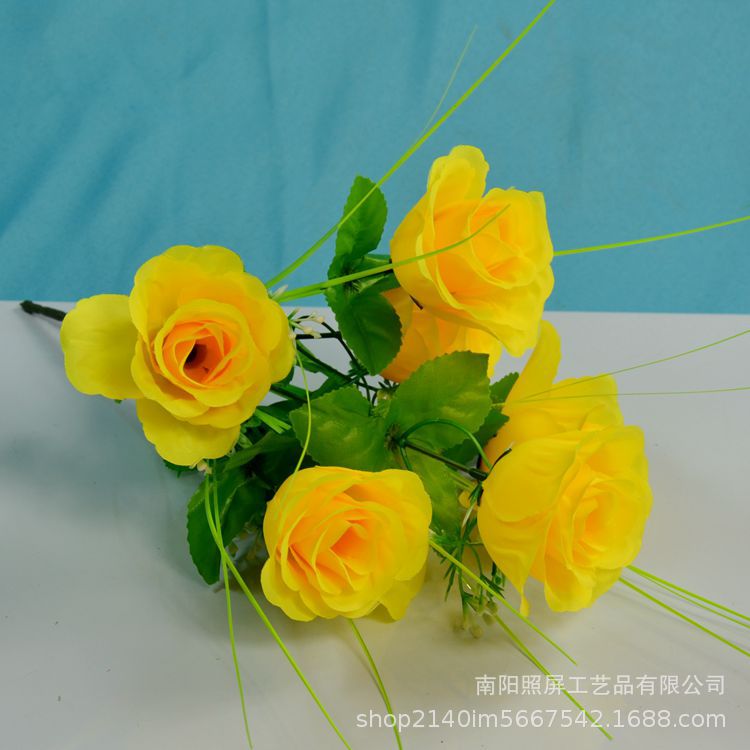 7头孔雀玫12.jpg