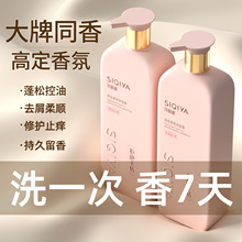 蓬松控油洗发水正品持久留香去屑止痒洗发露一件代发工厂直销批发