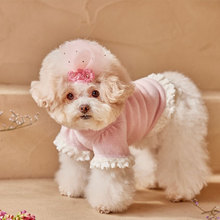 小狗狗打底衫宠物秋冬季时尚蕾丝中小型犬两脚公主风猫咪泰迪衣服
