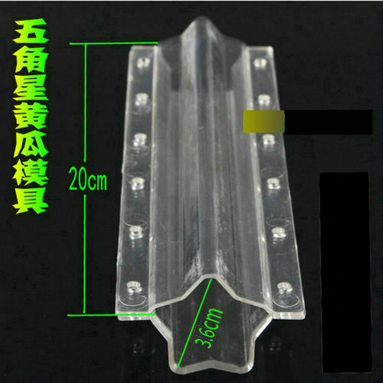 五角星黄瓜水果生长模具外贸跨境人参果模具艺术葫芦定型范制模具