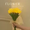 Special offer, flash sale, 10 pieces of Led light white tulips + fishtail yarn