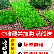 ~Ī˹ˮ쾰ˮĽ˹ƬɢbľǴIǰB