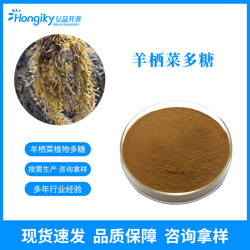 羊栖菜多糖10%羊栖菜提取物水溶羊栖菜粉 多规格按需生产咨询拿样