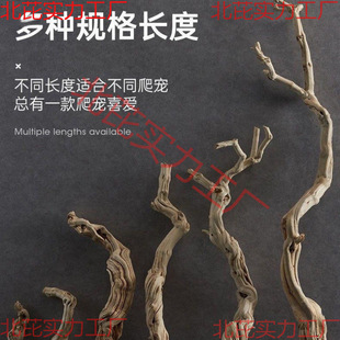 �����쾰ľ���ָ��߽޽��،m�ת{����������̨���y��ľ��֦��