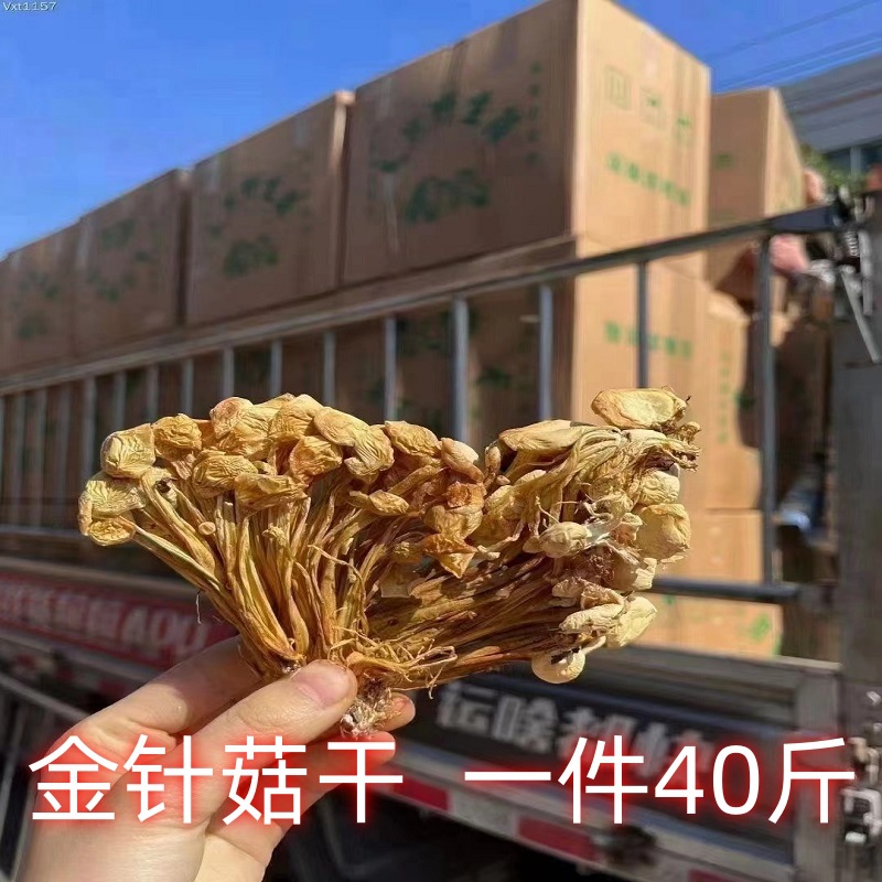 Traveling market agricultural dried soup ingredients dried enoki mushroom bulk commercial wholesale dried enoki mushroom fungal ingredients