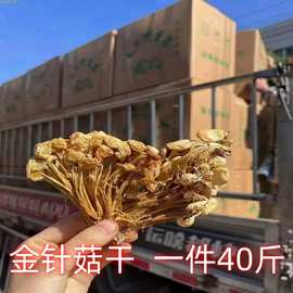跑江湖农贸产品煲汤干货金针菇散装商用批发干金针菇菌类食材