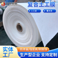 两布一膜复合土工膜河道治理水蓄水池防渗复合土土膜生产厂家