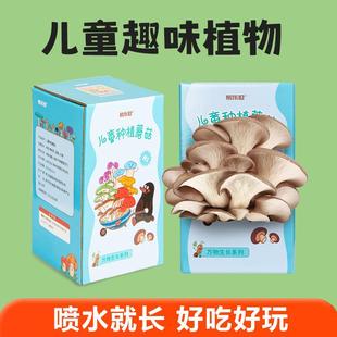 Ģ���Nֲ�����N�����ҷN�����㹽ʳ�ú�ƽ��������ͥ���r��������