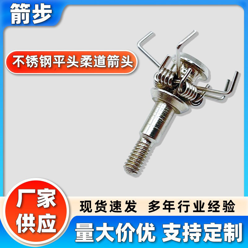 Stainless Steel Flat-Head Judo Arrowhead 100Gr Outdoor Sports Fishing and Hunting Bow and Arrow Accessories Stainless Steel Archery Arrowhead