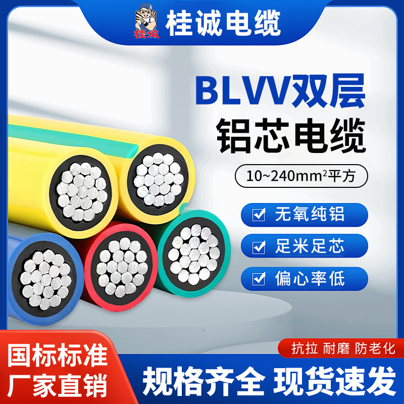 国标BLVV铝芯电缆线10/16/25/50/70平方抗老化工程工地电源铝电线