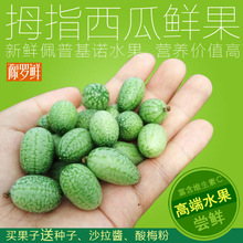 现摘拇指西瓜水果 正宗佩普基诺新鲜果子 精品绿瓤迷你网红小西瓜