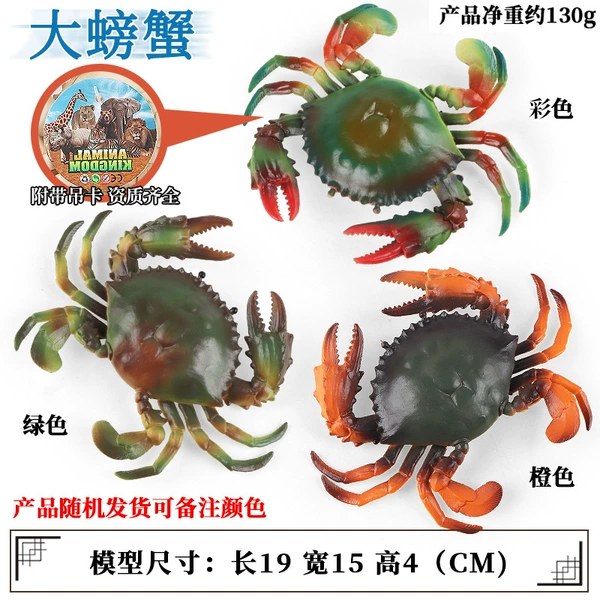 MF hairy crab (three -color random distribution one)