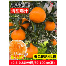 �����Ĵ��ҰҸ̘������θ̴�Ҋ���ٽ��������ϱ����Nֲ�޽ӹ�����