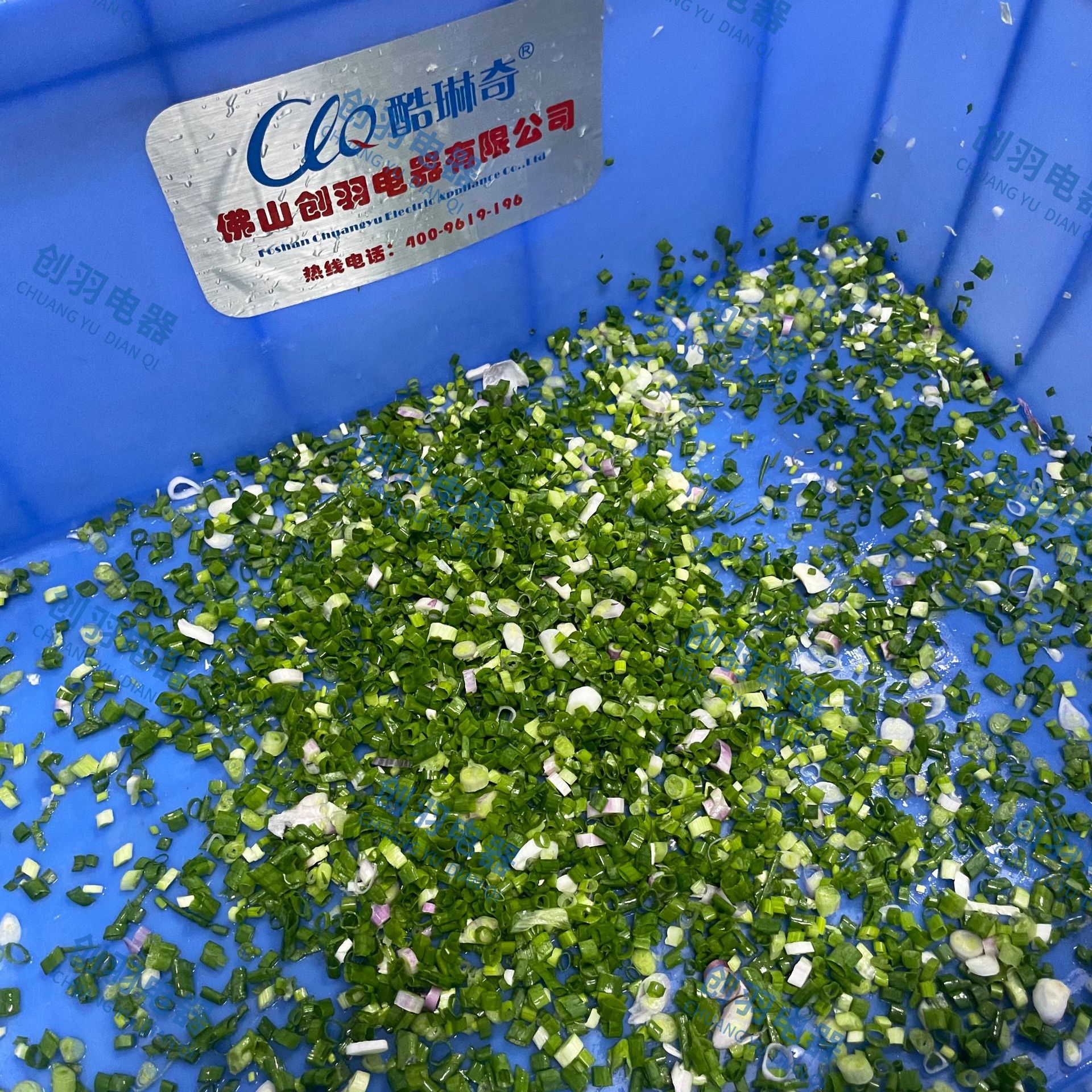 商用切葱花机 大产量果蔬白菜椰肉切丝机莲藕切片机保修一年现货