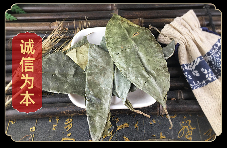 Shan Xiang Yuan Ye Dried Turraea Leaf Bulk Herbal Tea Leaves 1 Jin 500g in use