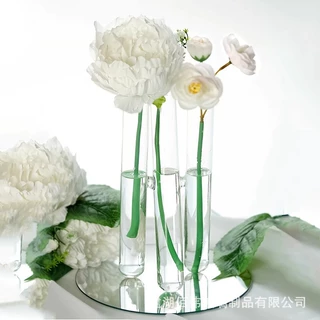 北欧ins试管透明玻璃花瓶跨境货源家居花艺水培植物插花装饰摆件