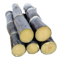 广西黑皮甘蔗当季水果黑皮甘蔗整件包邮新鲜水果甘蔗一件代发