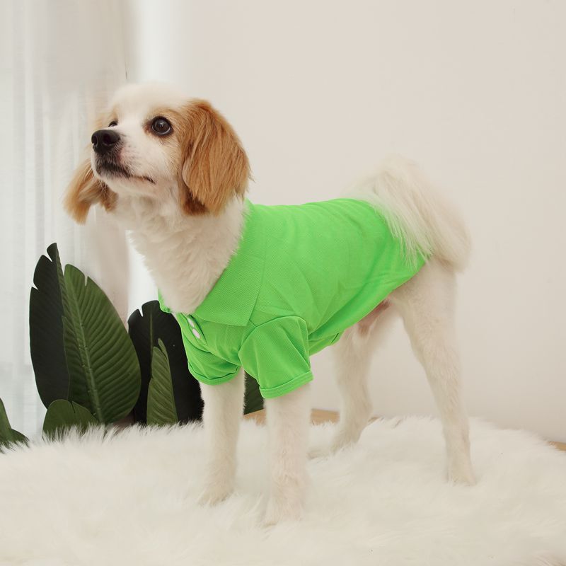 녹색