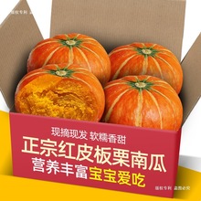山东红皮板栗味南瓜黄圆南瓜金瓜金丝南瓜南瓜新鲜贝贝小南瓜