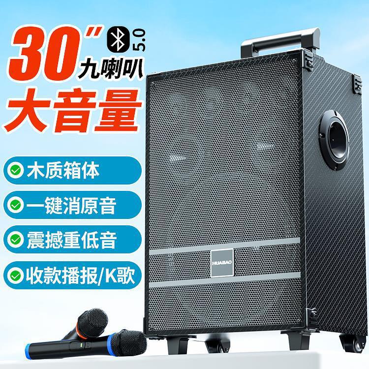 D10 Square Dance Audio Home Karaoke All-In-One Outdoor Trolley Speaker Bluetooth High Volume Shop